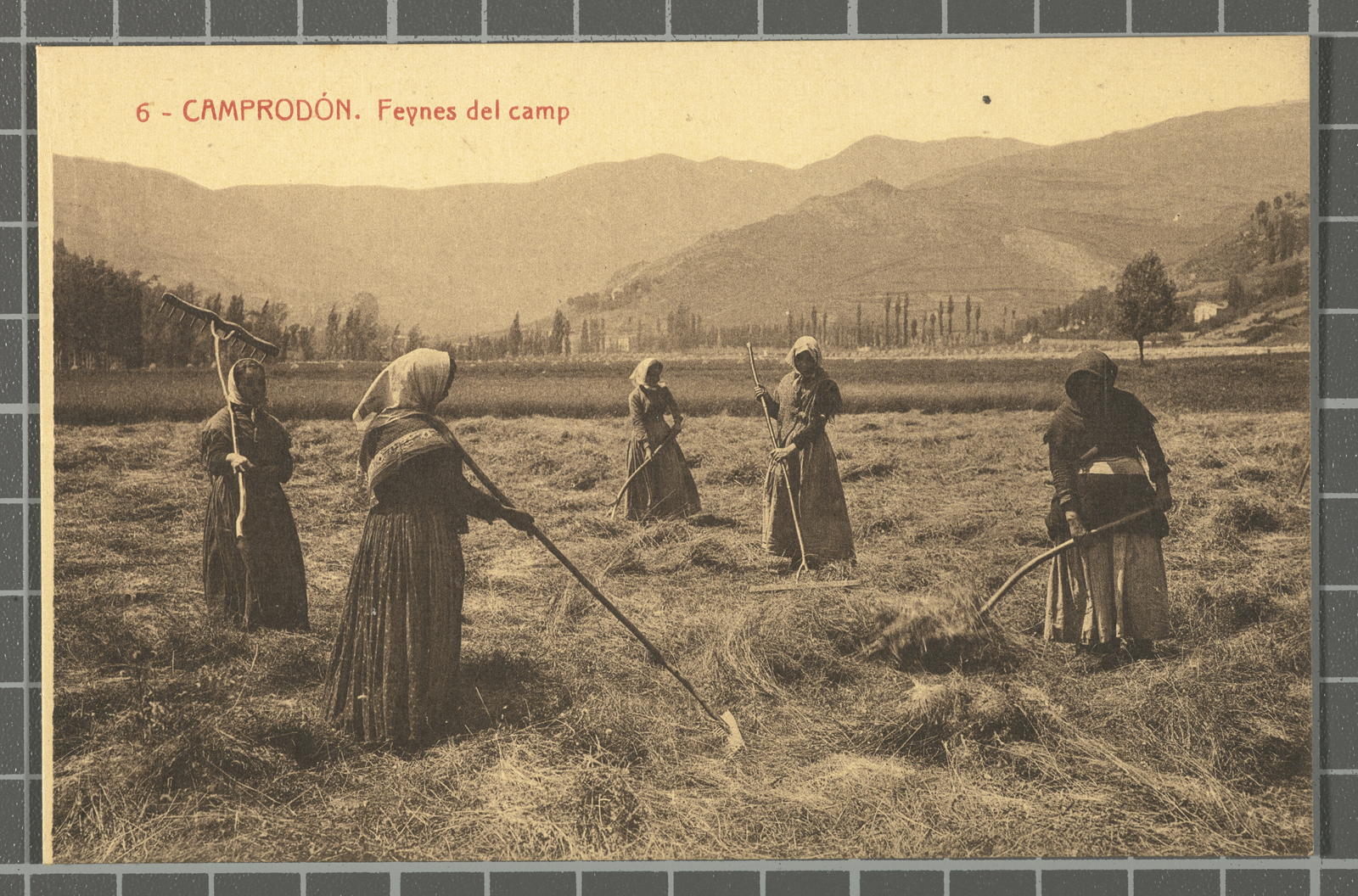 Desconegut, 6 - Camprodón. Feynes del camp