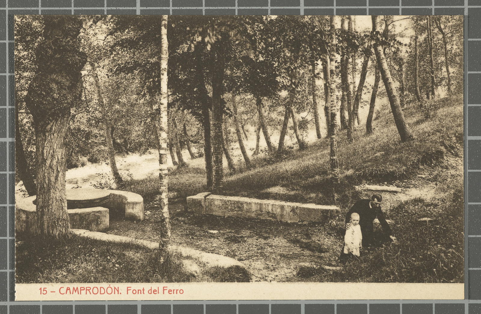 Desconegut, 15 - Camprodón. Fuente del Hierro