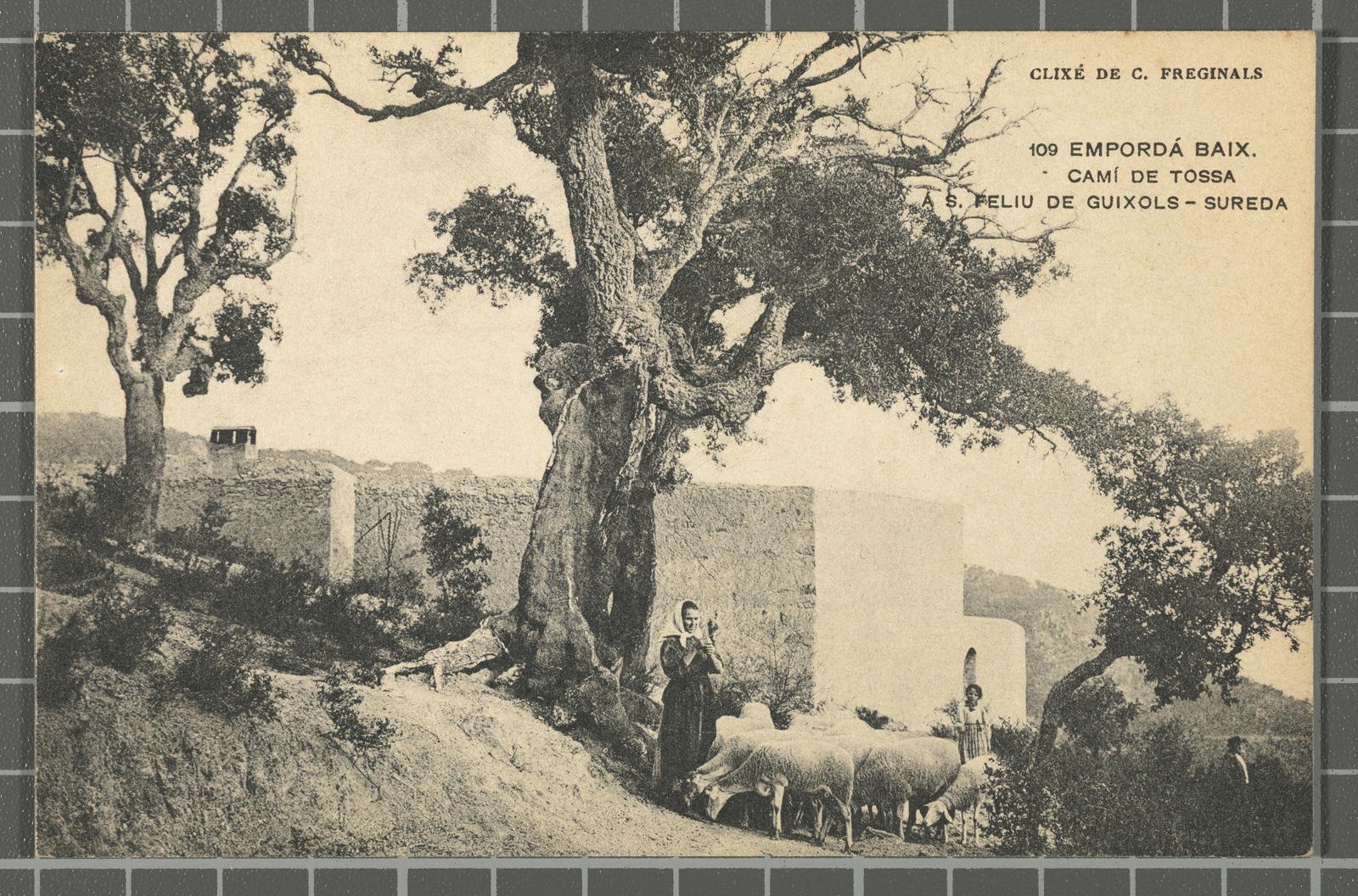C. Freginals, 109 Empordá Low. - Path of Tossa á S. Feliu of Guixols - Sureda