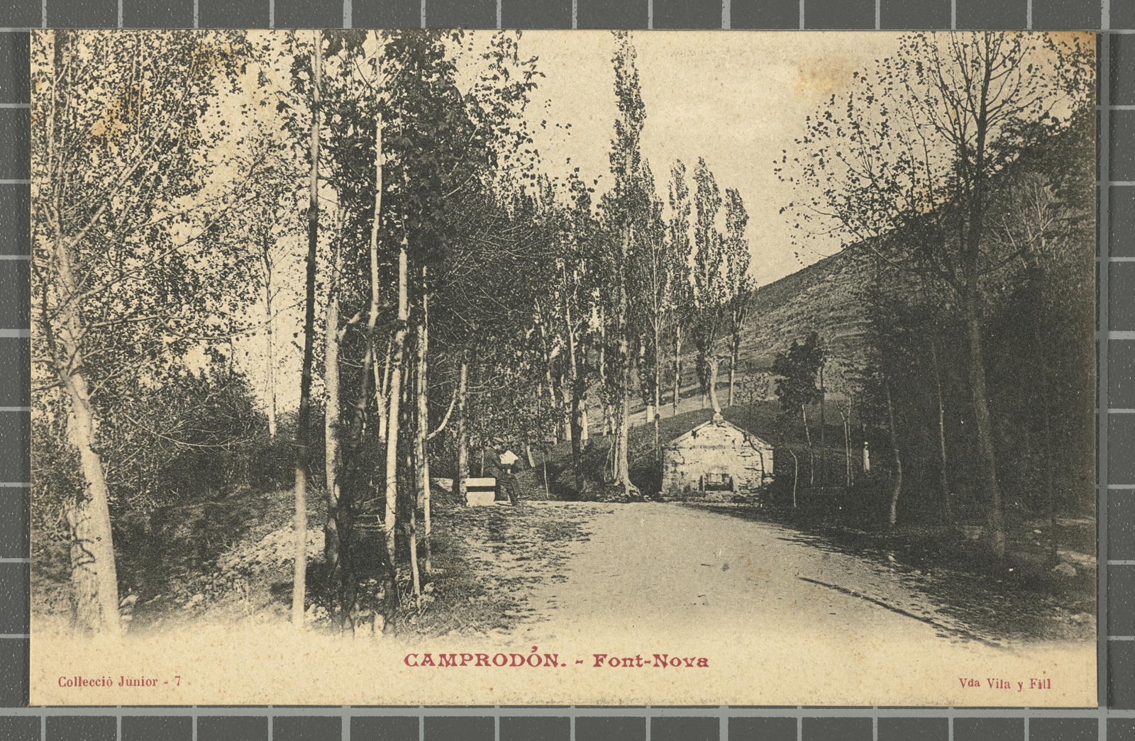 Desconegut, Camprodon.- Fibt biva