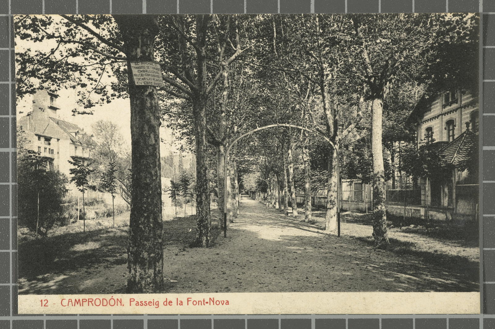 Desconegut, 12 - Camprodón. Paseo de la Font-Nova