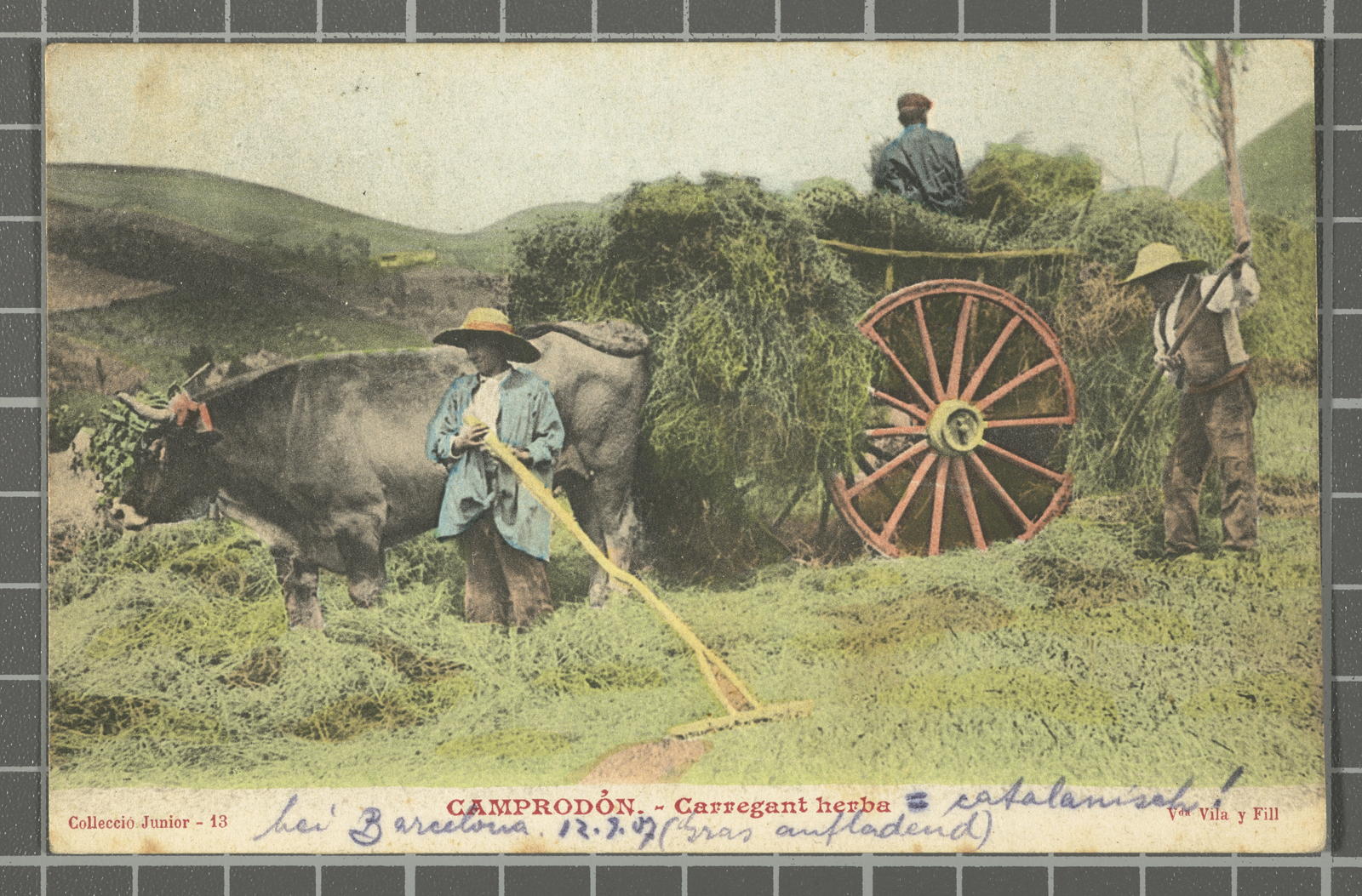 Desconegut, Camprodón. Loading grass