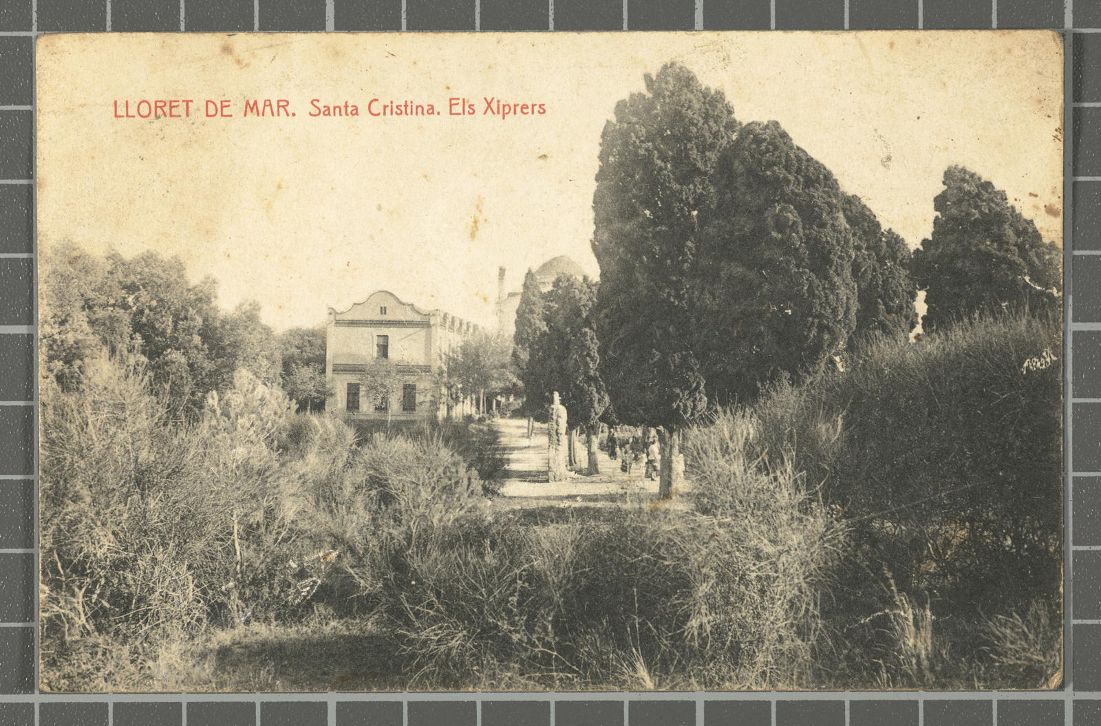 Desconegut, Sea Lloret. Santa Cristina. The Cypresses