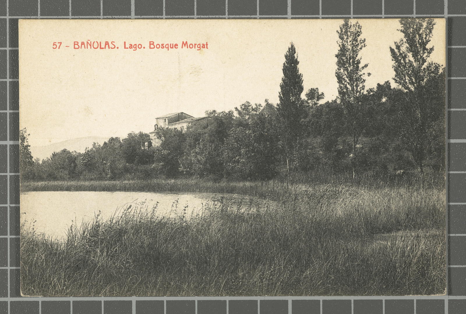 Desconegut, 57 - Bañolas. Lago. Bosque Morgat