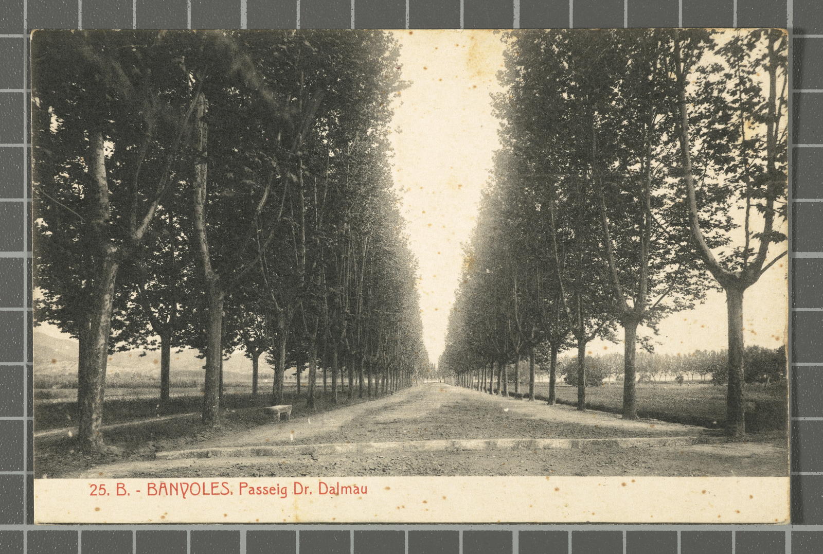 Desconegut, 25. B. - Banyoles. Passeig Dr. Dalmau