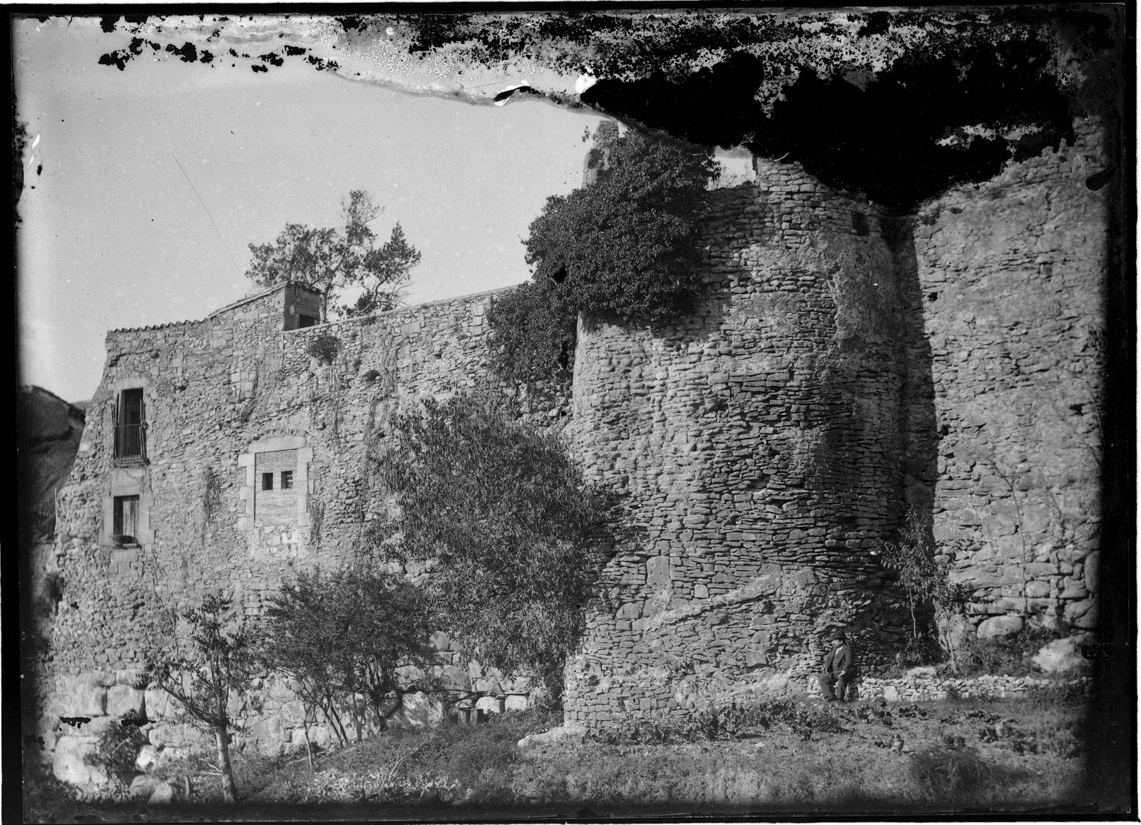 Desconegut, [Bird Wall]