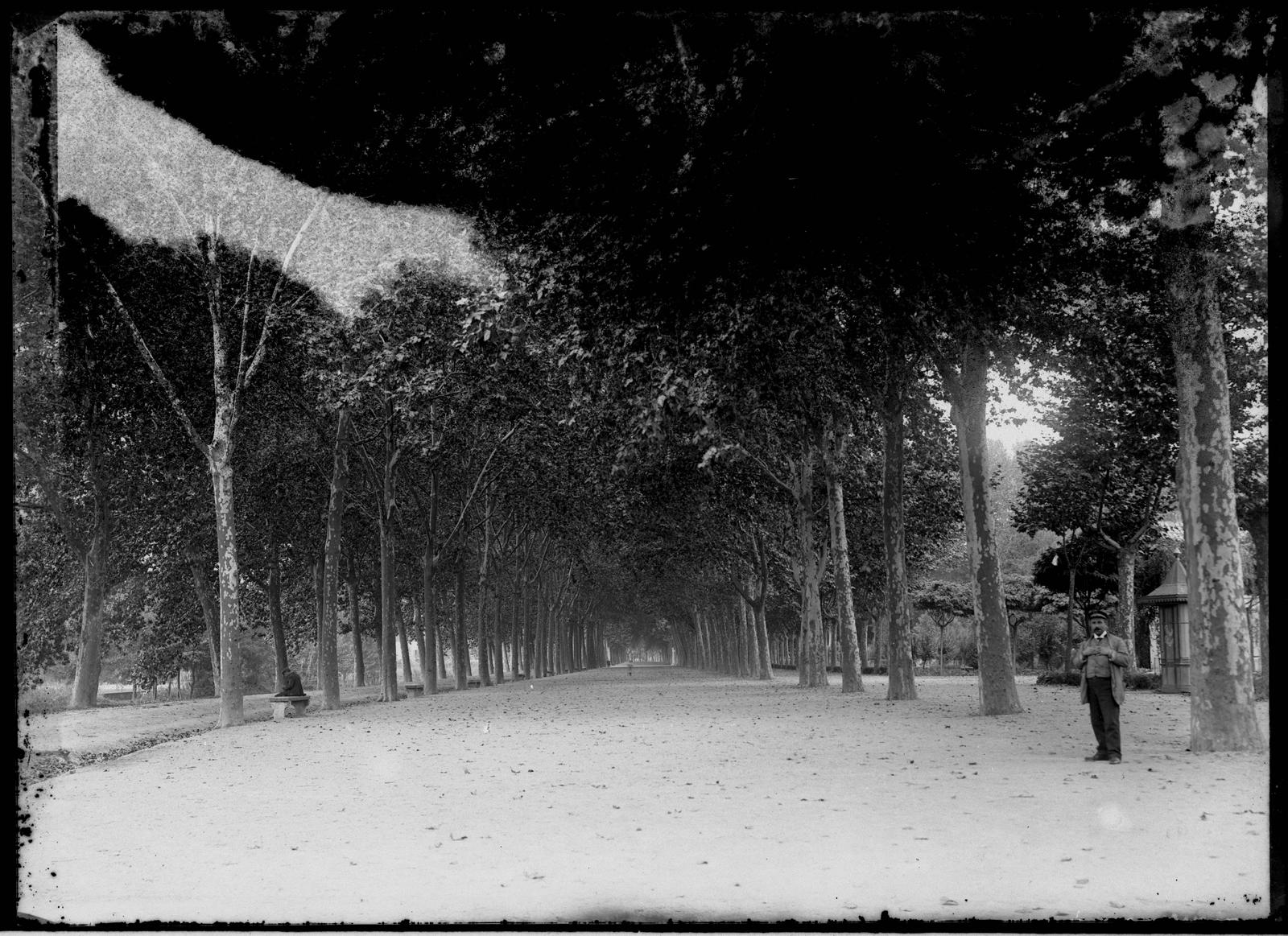 Desconegut, [The Meadow]