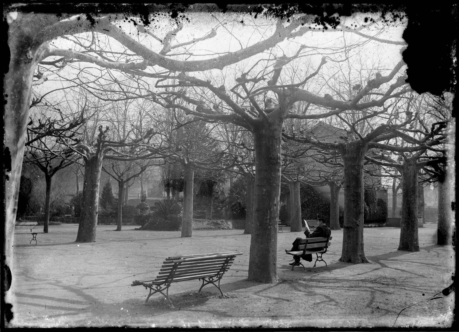 Desconegut, [Jardins de la Reina Victòria]