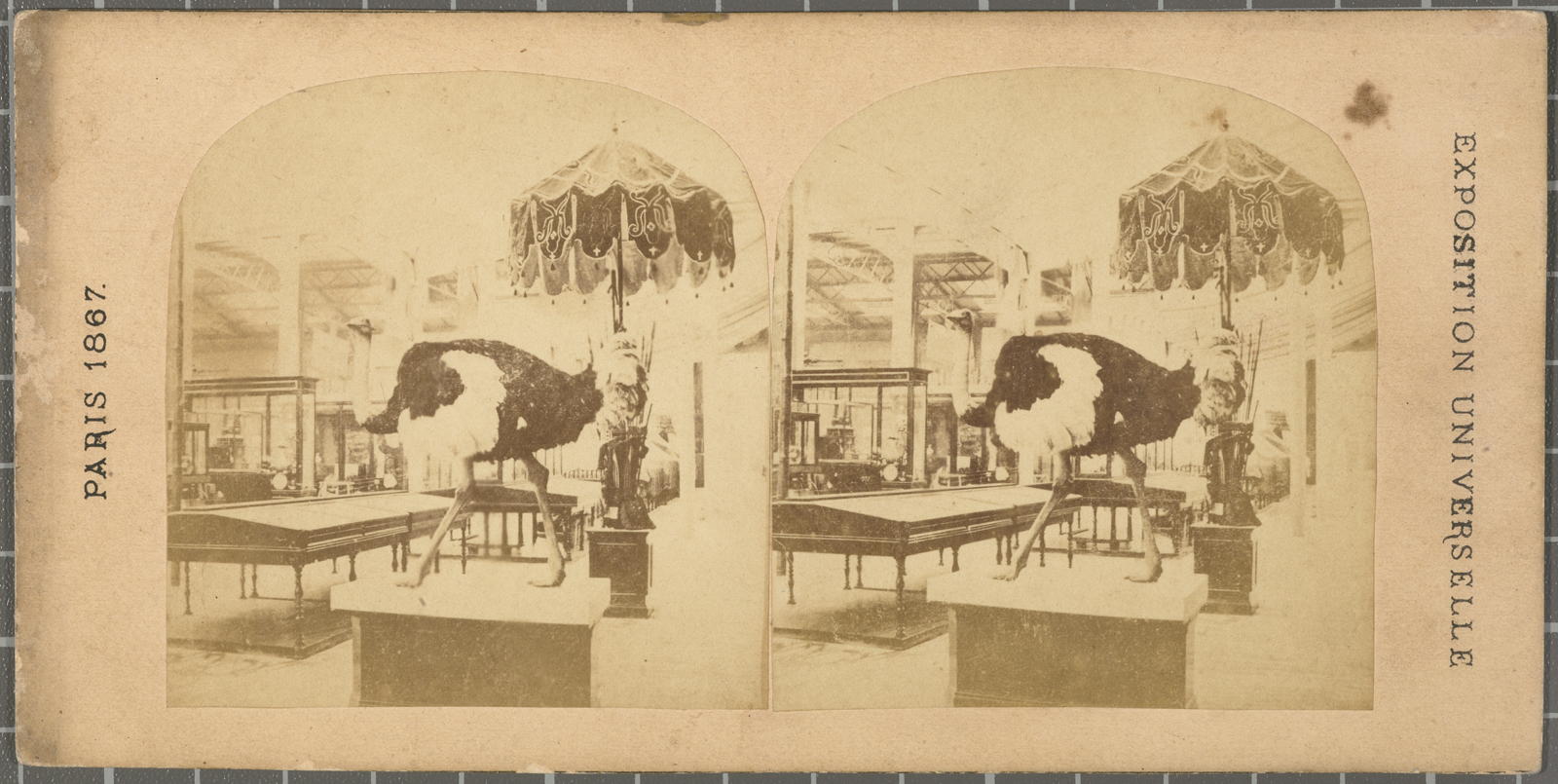 Desconegut, Exposition Universelle