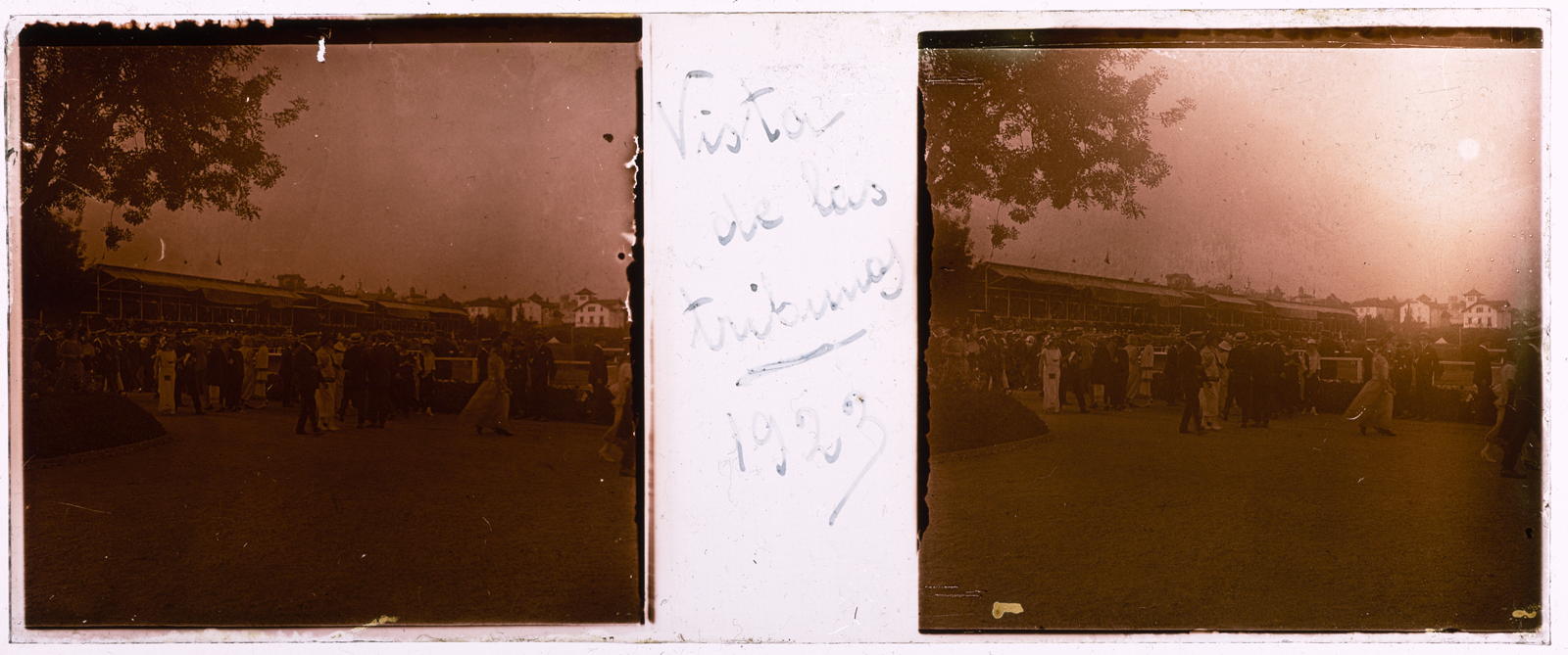 Desconegut, Vista de las tribunas
