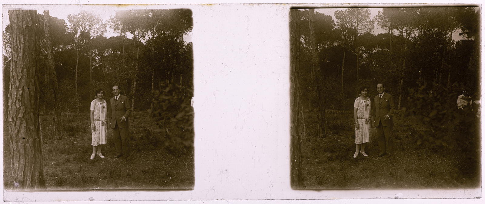 Desconegut, [Couple in the forest]