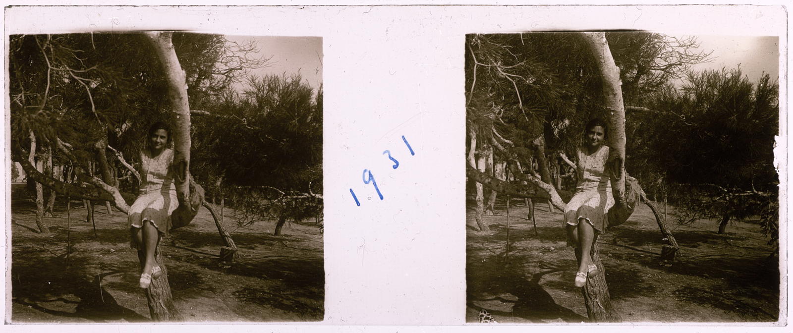 Desconegut, [Girl sitting on a tree]