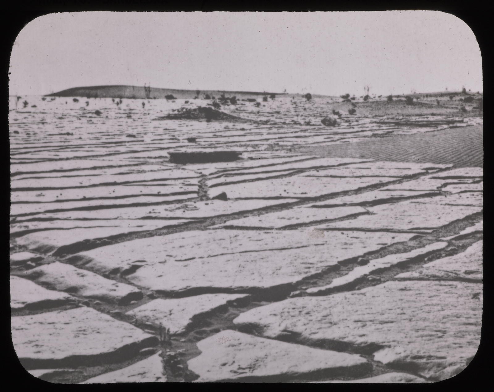Desconegut, Sahara. Efectos de erosión eólica sobre arenisca. Vda. L. Soler Pujol