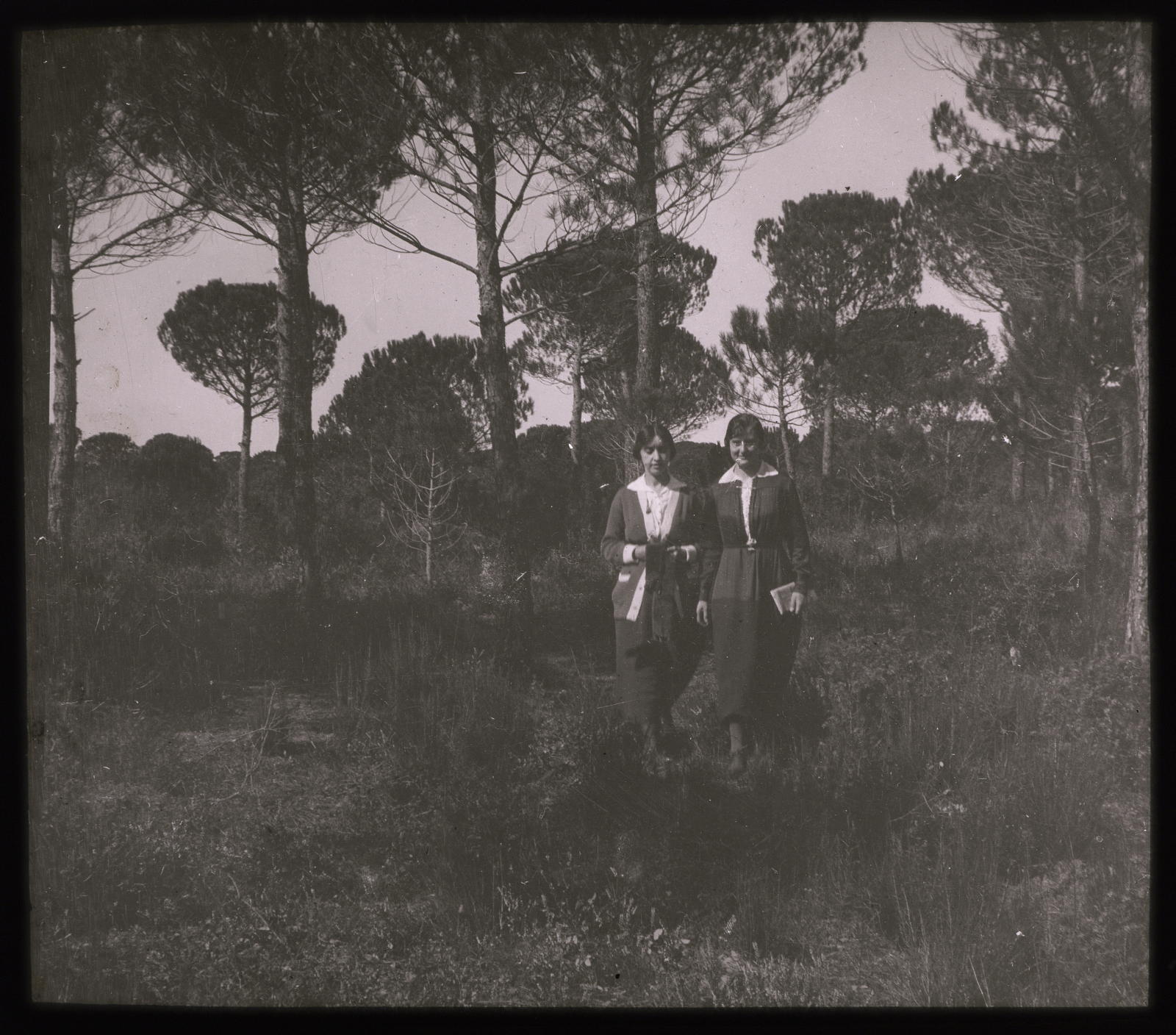 Desconegut, [Women in the Forest]