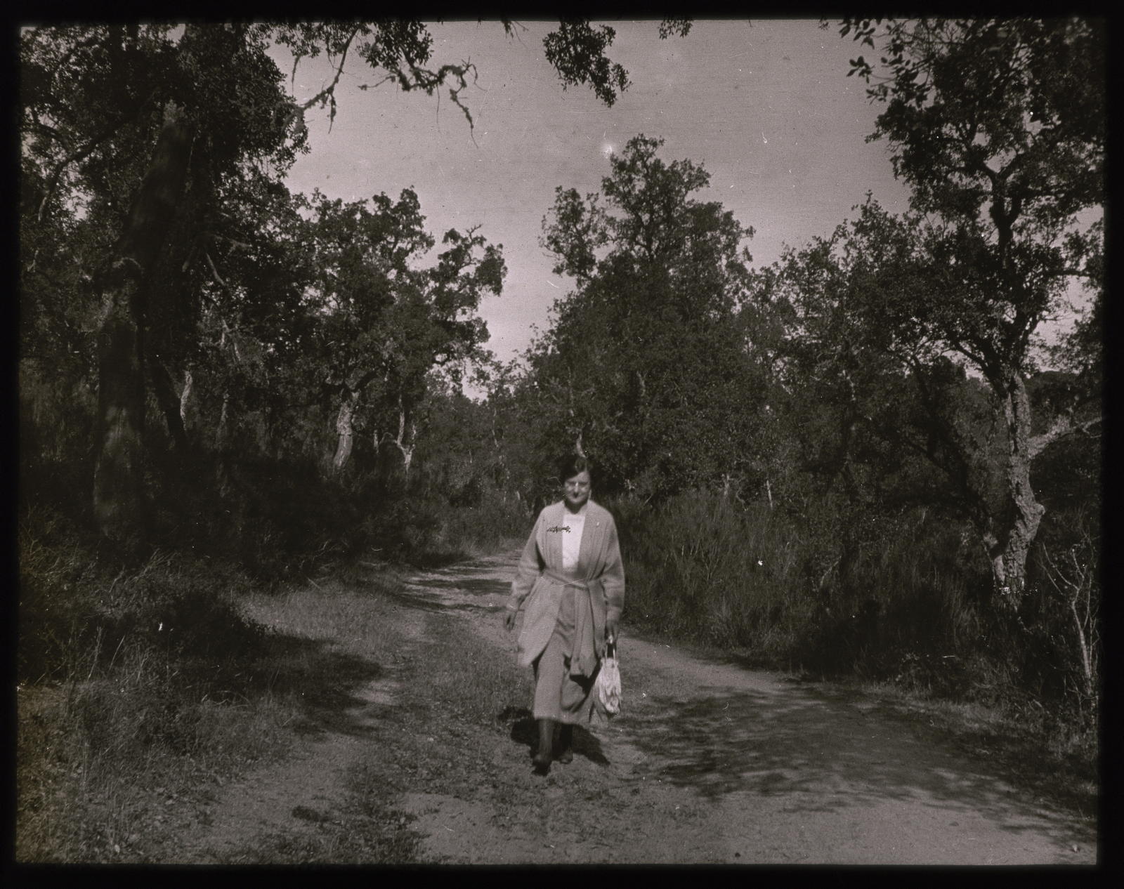 Desconegut, [Woman in the Forest]