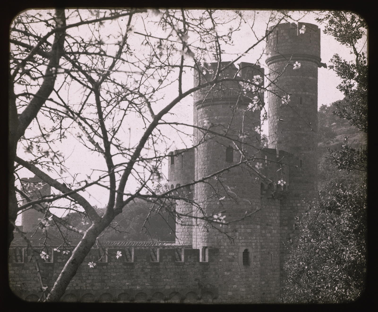 Desconegut, [Castle] Rellev