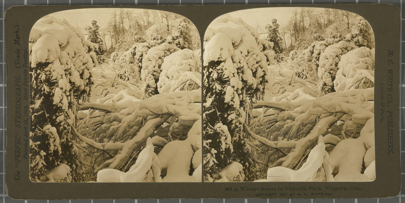Desconegut, A Winter Scene in Vicroria Park Niagara. White, H.C. & Co., The "Perfec" Stereograph