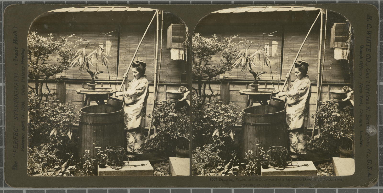 Desconegut, Drawing Water in the Courtyard of a Japanese Dwelling, Yocohama. White, H.C. & Co., The "Perfec" Stereograph
