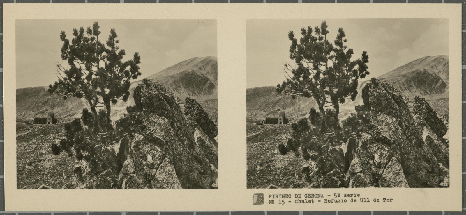 Desconegut, Pirineo de Gerona (Camprodon-Ull de Ter)