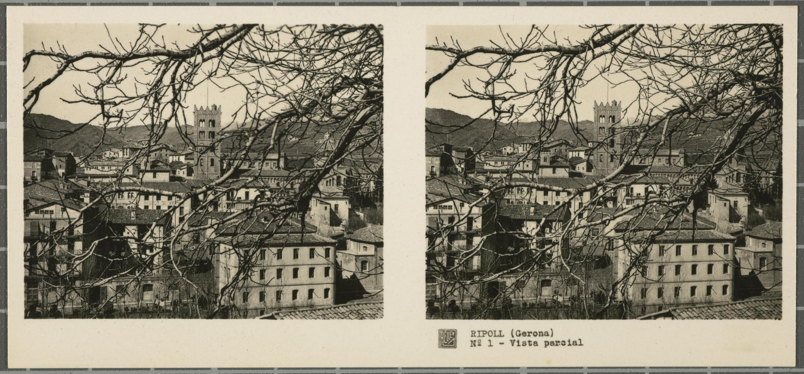 Desconegut, Ripoll