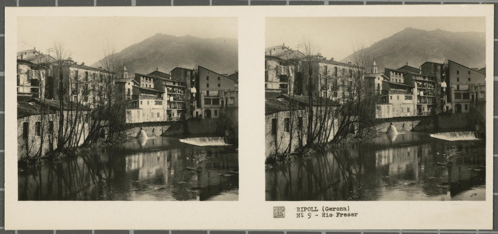 Desconegut, Ripoll