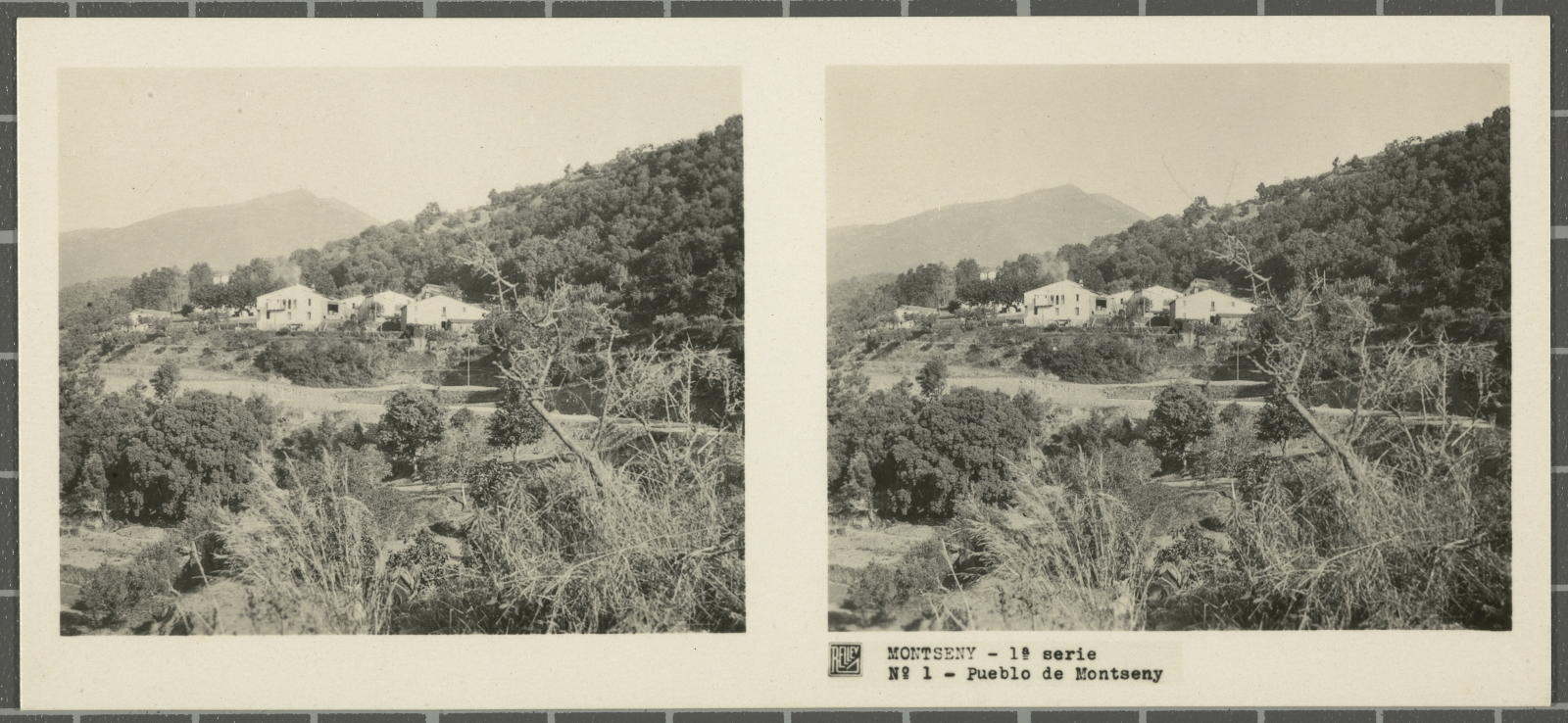Desconegut, Montseny (Barcelona-Gerona)