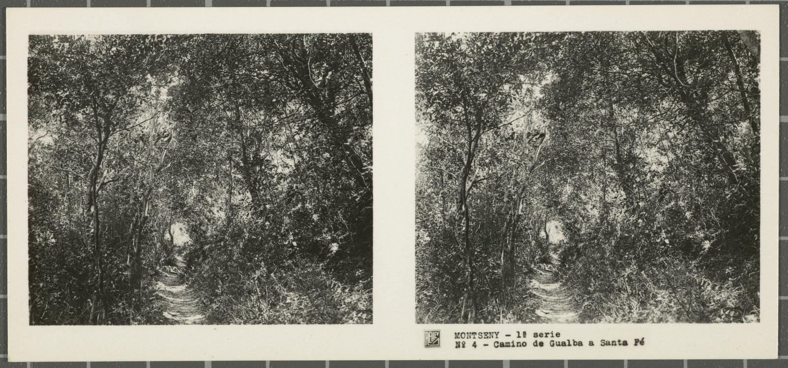 Desconegut, Montseny (Barcelona-Gerona)