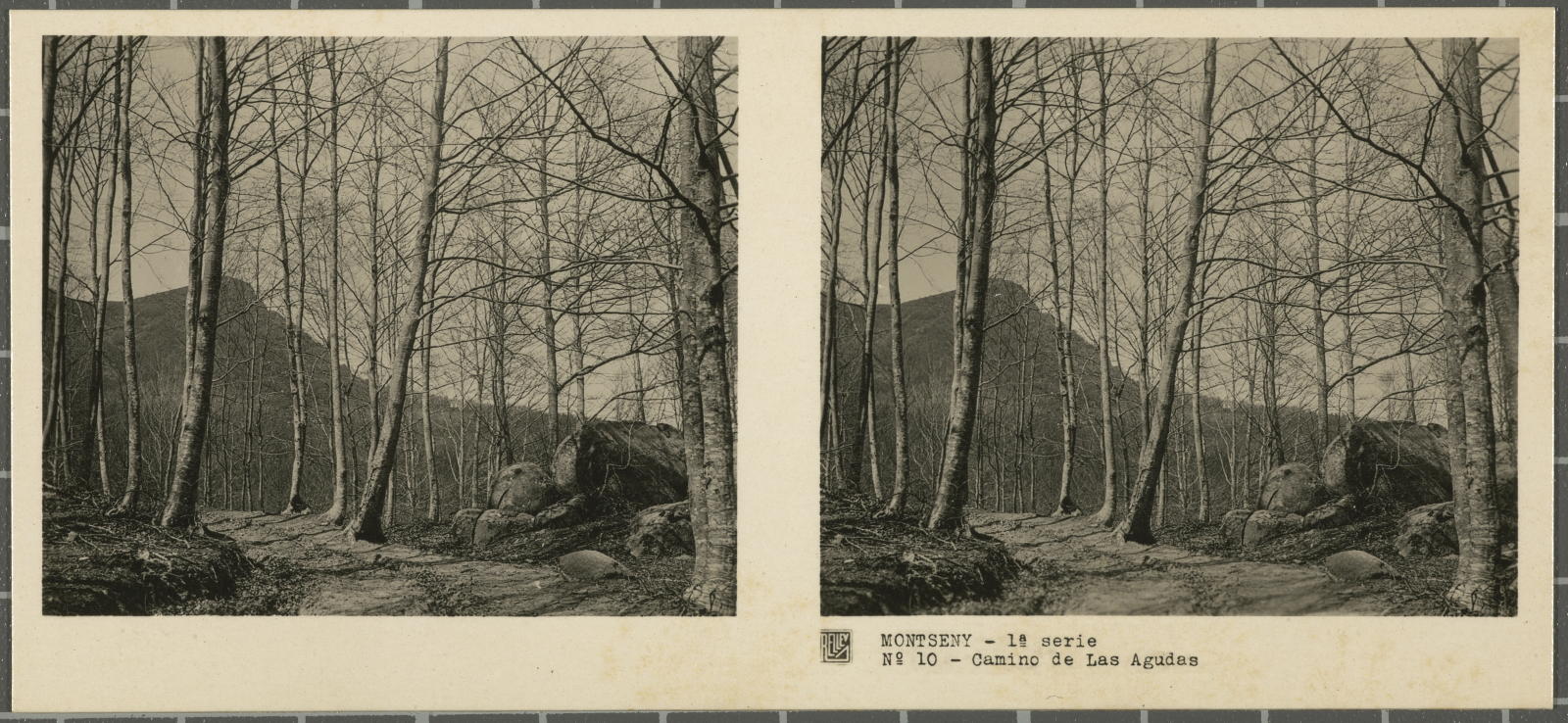 Desconegut, Montseny (Barcelona-Gerona)