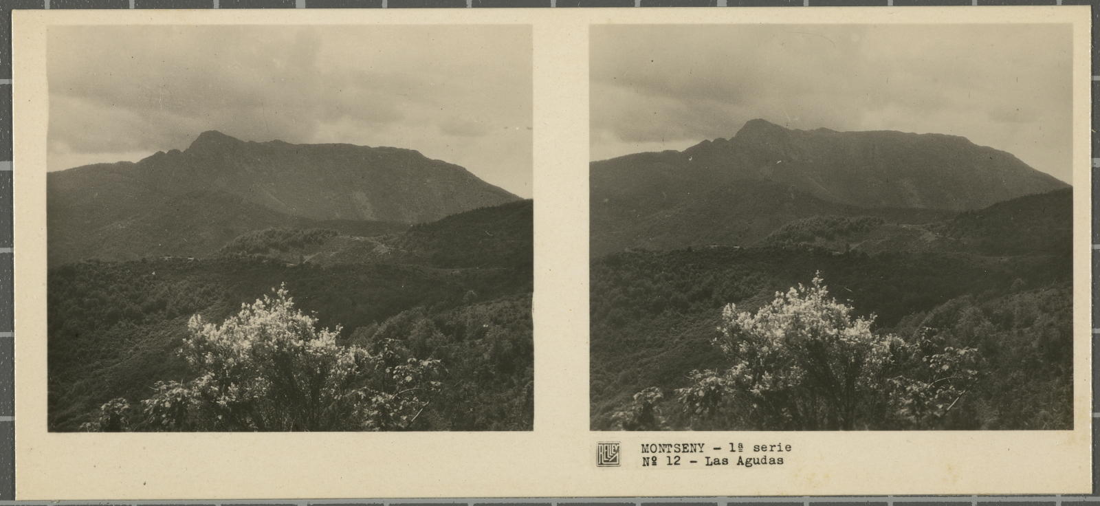 Desconegut, Montseny (Barcelona-Gerona)