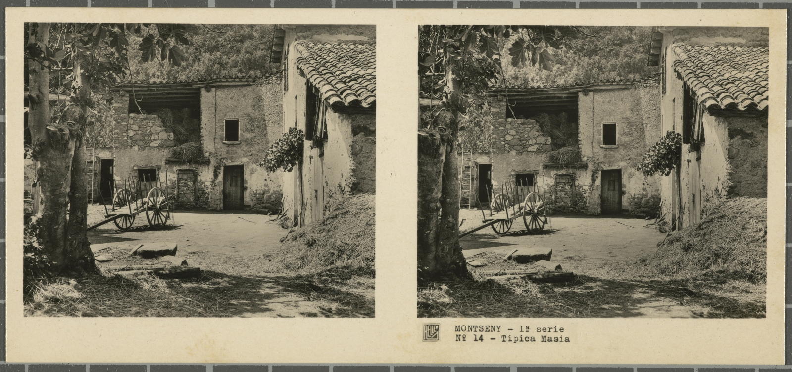 Desconegut, Montseny (Barcelona-Gerona)