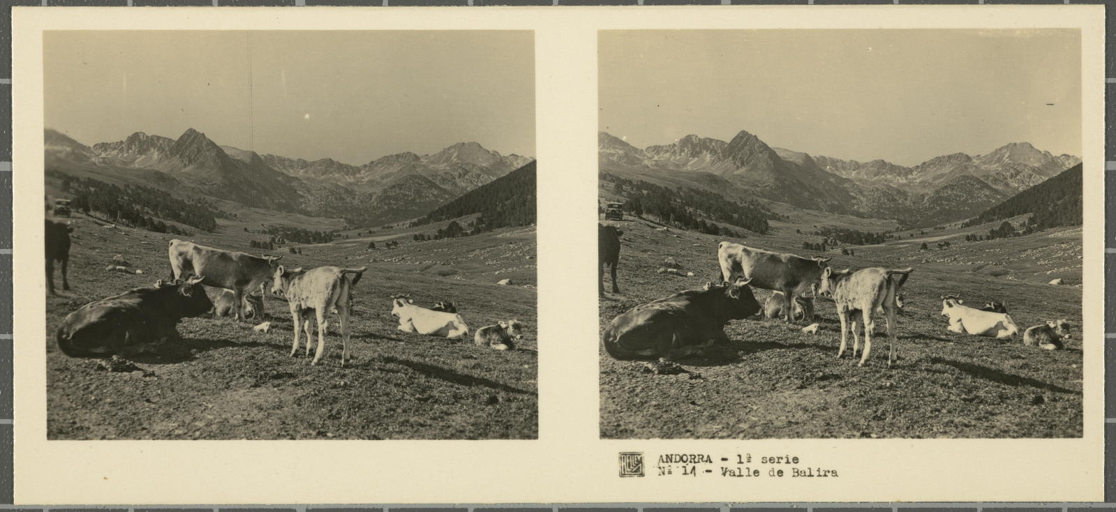 Desconegut, Andorra