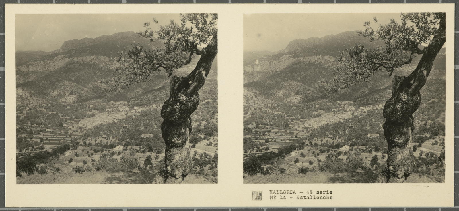 Desconegut, Mallorca