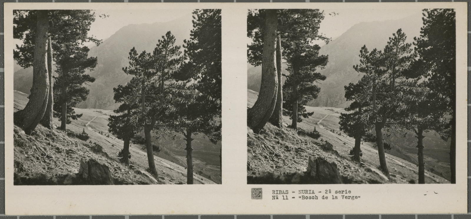 Desconegut, Ribas-Nuria (Gerona)