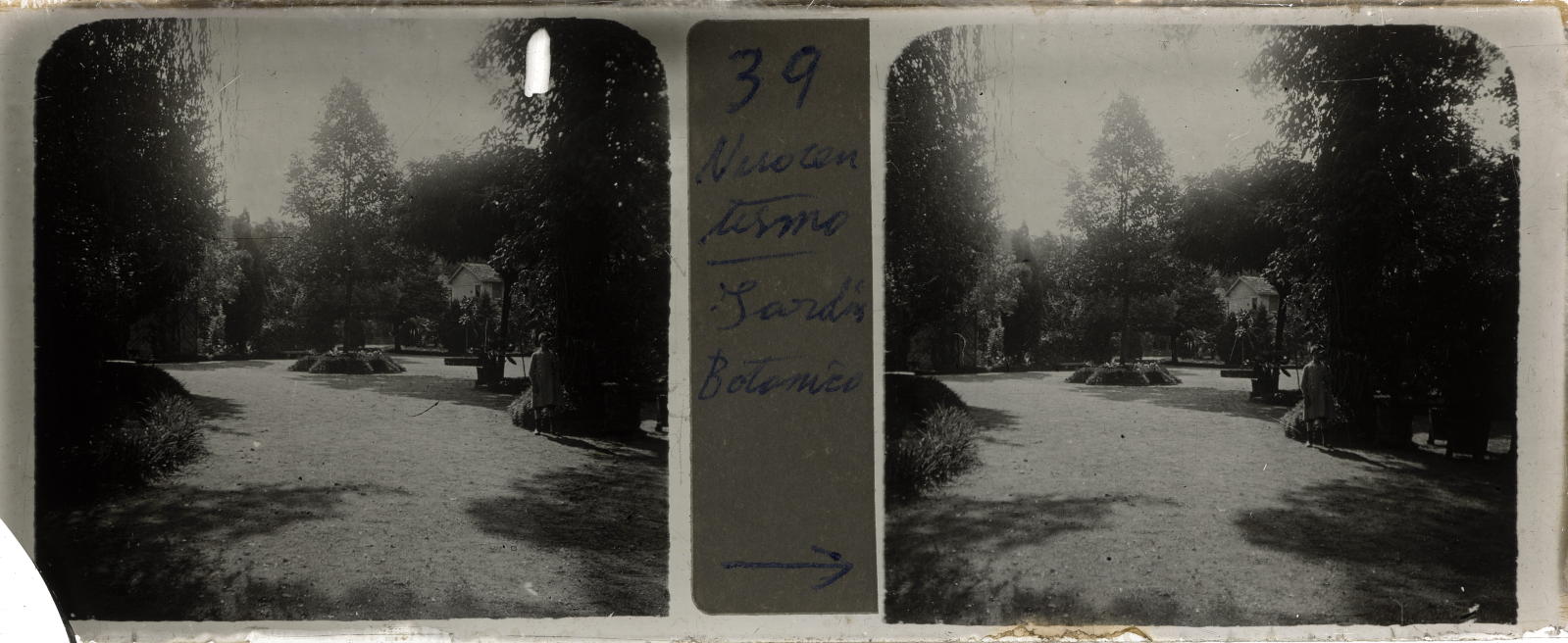Desconegut, [Jardins de la Reina Victòria]