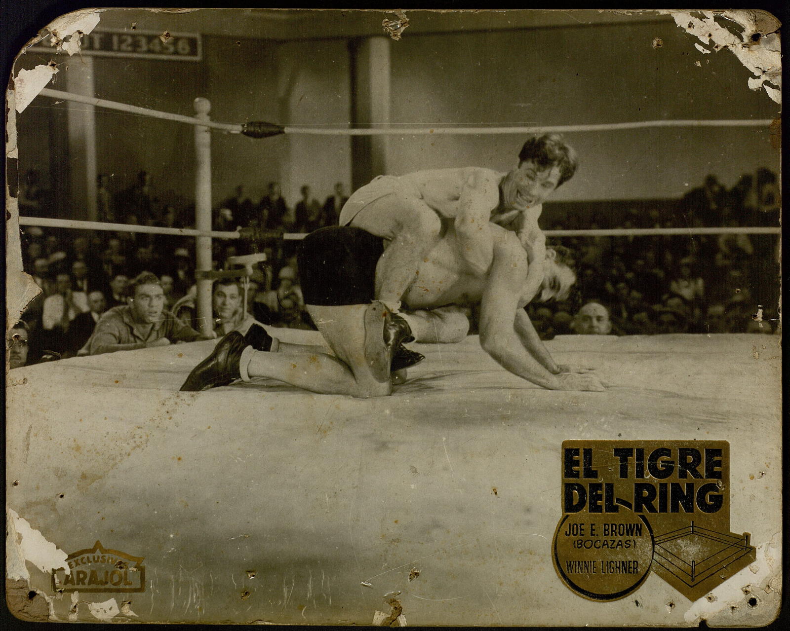Desconegut, tigre del ring, el