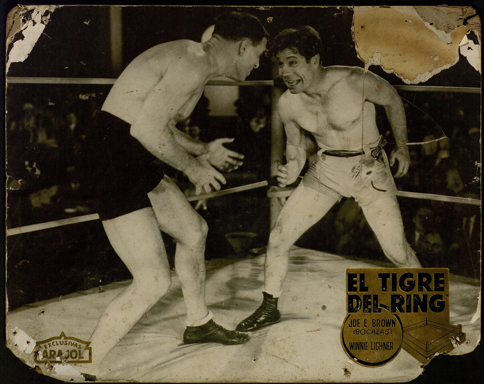 Desconegut, tigre del ring, el